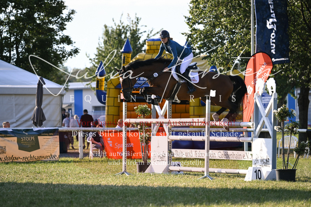 DSC_1789 | Pferde- und Turnierfotografie in Westsachsen. Pferdeportraits, Auftragszeichnungen und intuitive Kunst.