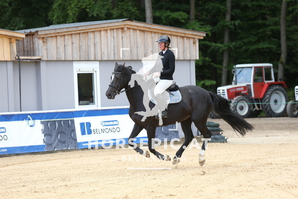 DL2Q1530 | Willkommen bei Brunnmayr - Design & Fotografie – Ihrem Spezialisten für Reitturniere und Pferdeveranstaltungen in Oberösterreich, Salzburg und Bayern! Seit über 17 Jahren sind wir leidenschaftlich dabei.