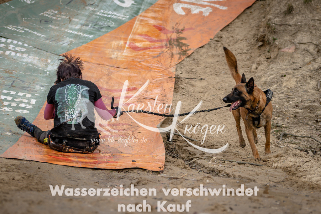 1226DSC_1726 | kk-dogfotos