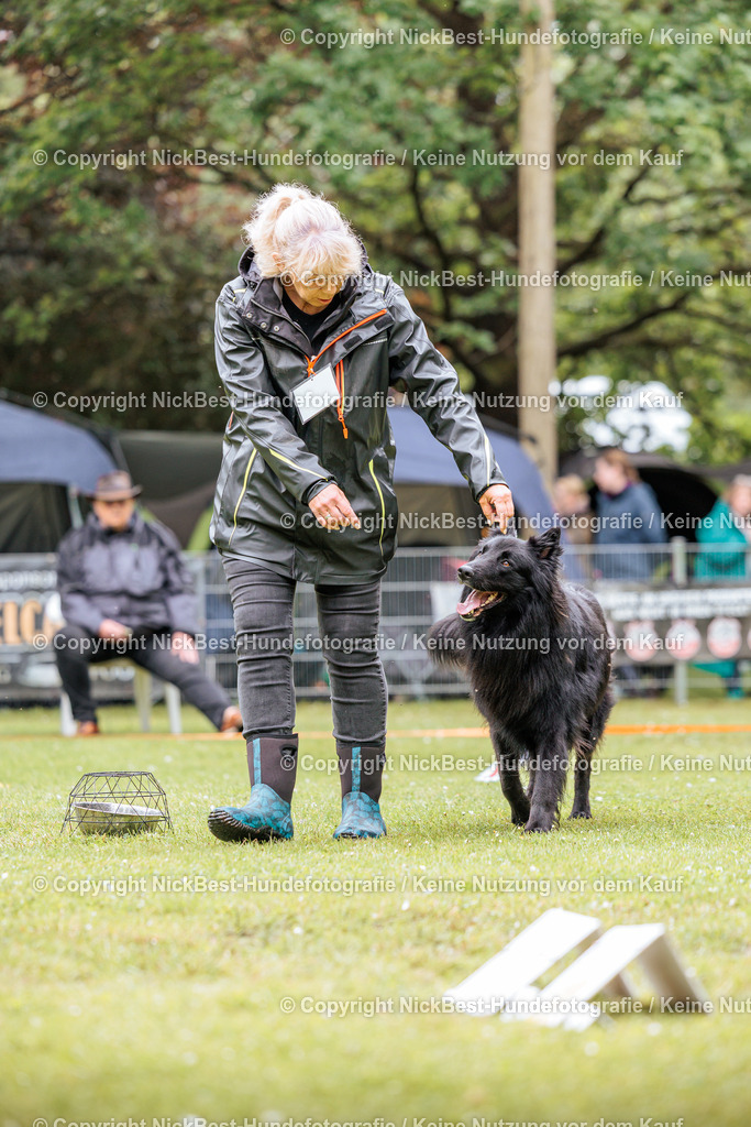RO-Blumenthal-2026-Nickbest-Hundefotografie-1274 | Dein Hund! Dein Moment! Deine Erinnerungen! Hundefotografie in Bremen Blumenthal. Ich fange die besonderen Momente deines Vierbeiners ein – ob Indoor mit Blitzanlage oder in der freien Natur. Sicher dir dein Moment und dein Termin für eure Erinnerungen.