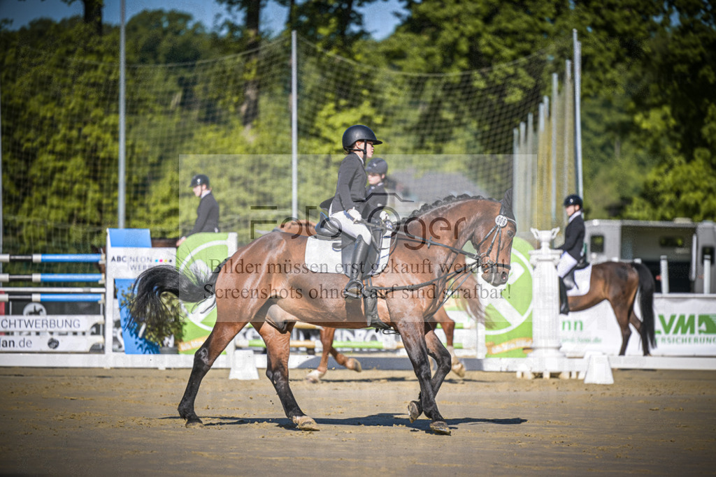 DOS_2967 | Entdecke hochwertige Reitturnierfotos von Foto Oger. Professionell, emotional und authentisch – jetzt Lieblingsmomente im Shop bestellen.Deutschlandweite Turnierfotografie. - Realisiert mit Pictrs.com