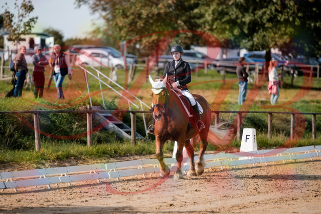 2026_10_03_Siefer-Hof_114220_Z63_23854641 | Professionelle Reitsport-, Turnier- und Eventfotografie von Robert Broda. Galerien mit ausgewählten und bearbeiteten Bildern direkt online ansehen und bestellen.