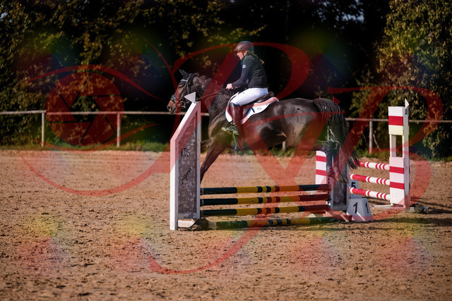 2026_10_03_Siefer-Hof_154858_Z81_67310797 | Professionelle Reitsport-, Turnier- und Eventfotografie von Robert Broda. Galerien mit ausgewählten und bearbeiteten Bildern direkt online ansehen und bestellen.