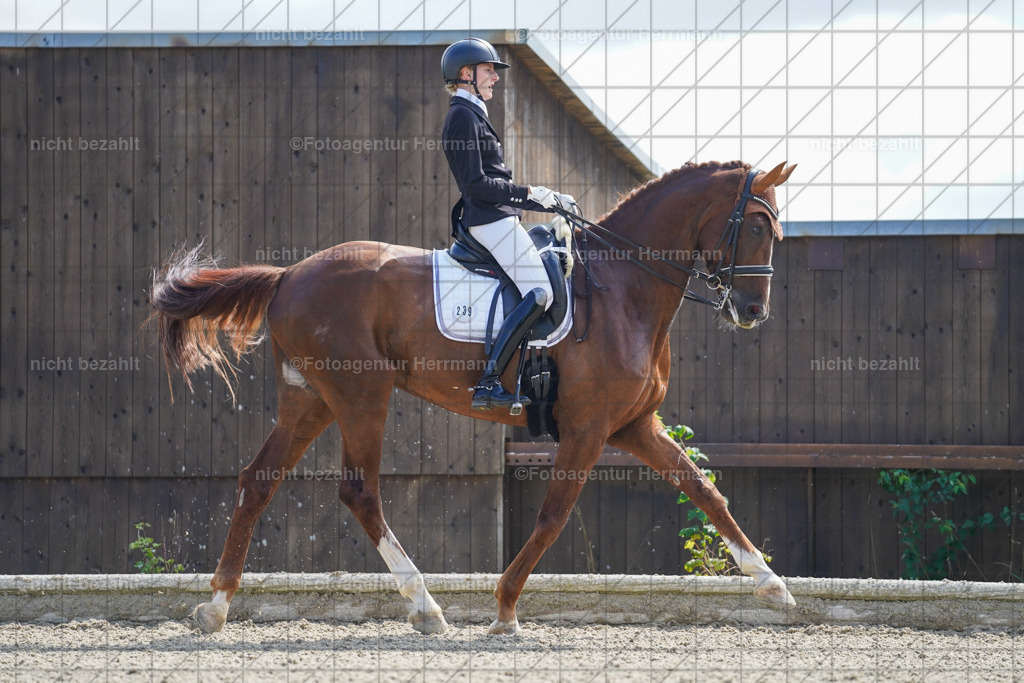 20230826-FAH05704 | Forstinning, 2023, Dressurturnier, Turniersportbilder, Turnierfotografen Bayern, Fotoagentur Herrmann, Reitsportfotografie, Turnierbilder