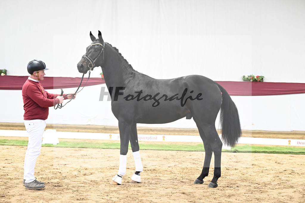 Kat-Nr. 23 Va Pensiero x De Niro_Christiane Schindele_47250703 | hf-fotografie - Realisiert mit Pictrs.com