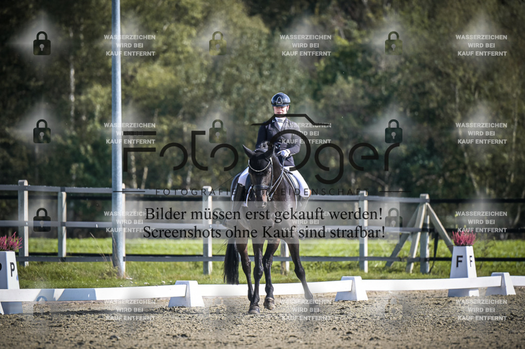 DOS_1325 | Entdecke hochwertige Reitturnierfotos von Foto Oger. Professionell, emotional und authentisch – jetzt Lieblingsmomente im Shop bestellen.Deutschlandweite Turnierfotografie. - Realisiert mit Pictrs.com