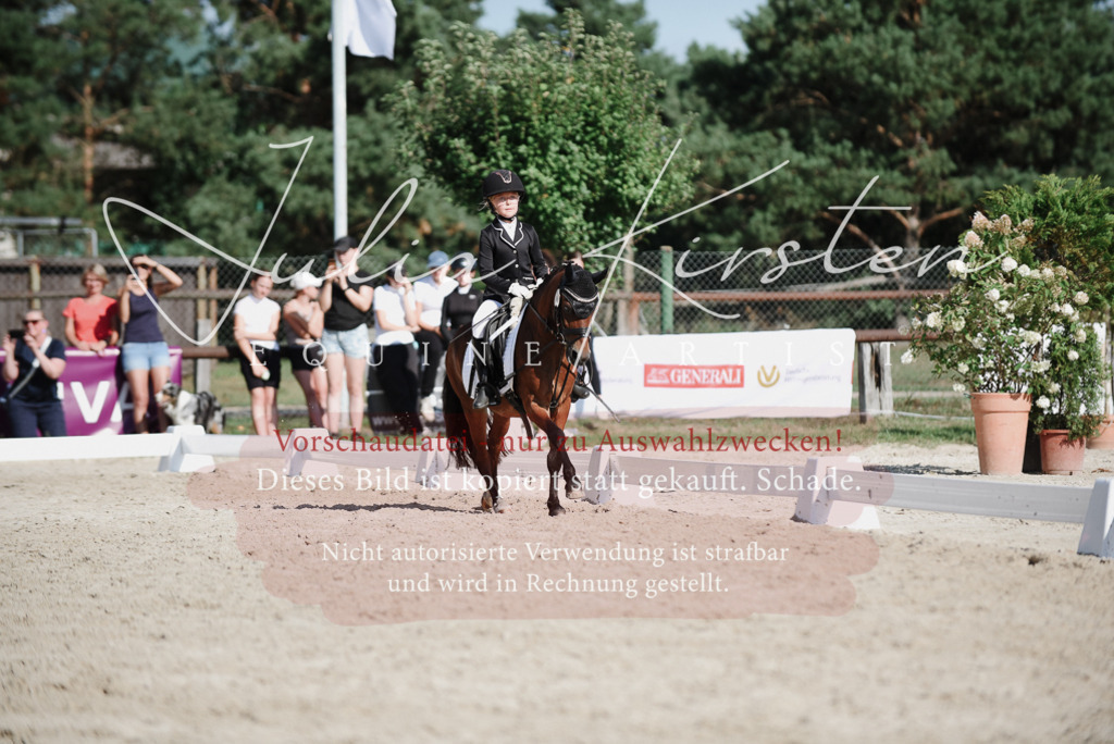 DSC_0155 | Pferde- und Turnierfotografie in Westsachsen. Pferdeportraits, Auftragszeichnungen und intuitive Kunst.
