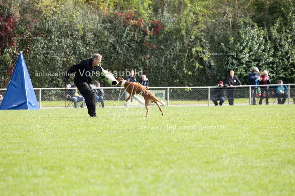_16A5390 | Einzigartige Fotos von Hunden & Menschen –Actionfotos, Portraits, Vereinsaufnahmen & Paarshootings – authentisch, lebendig & mit Herz.