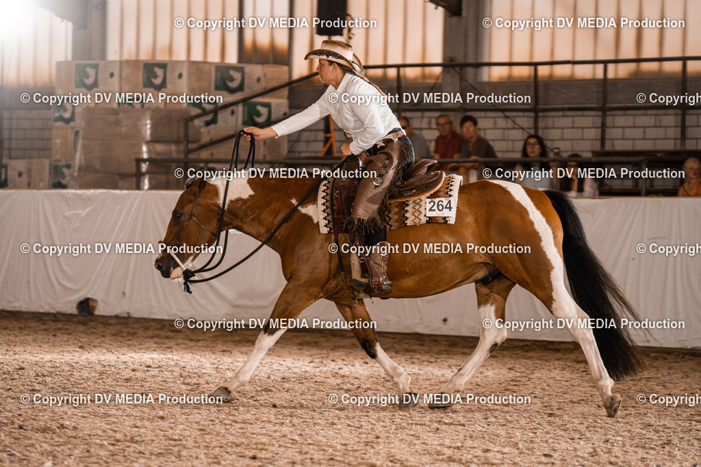 ZH300493 | dv-media-shop - Realisiert mit Pictrs.com