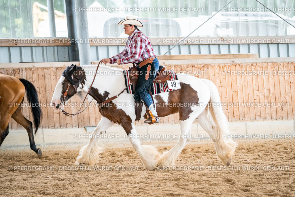 DSC00420 | Pferdegrafie