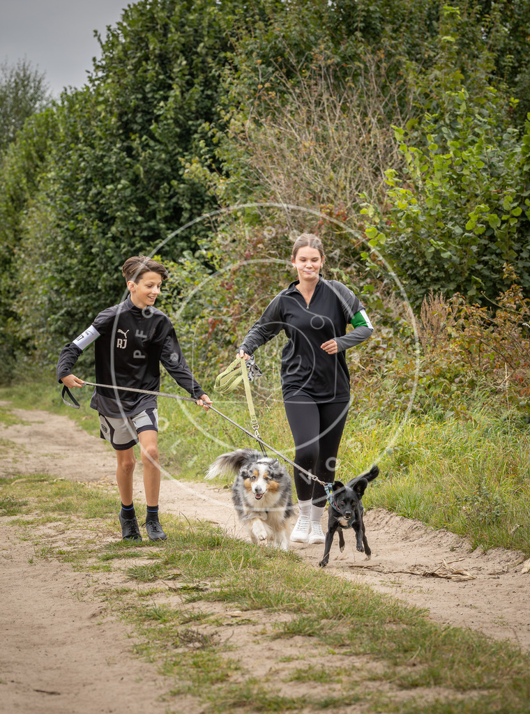 Pfotenfotografie_DV3A7057 | Hundefotografie, Tierfotograf, Pfotenfotografie, Fotoshooting Hund, Hunde Portrait, Hundesport, Hundeportraits, Heideshooting, Hunde, Sportfotograf, Hundefotograf, Turnierhundsport, THS,  - Realisiert mit Pictrs.com