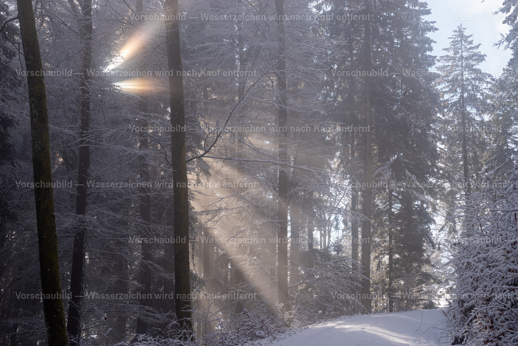 Wintersonne  | im verschneiten Schwarzwald - Realisiert mit Pictrs.com