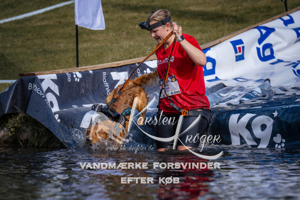 _ZZ982880757 | kk-dogfotos