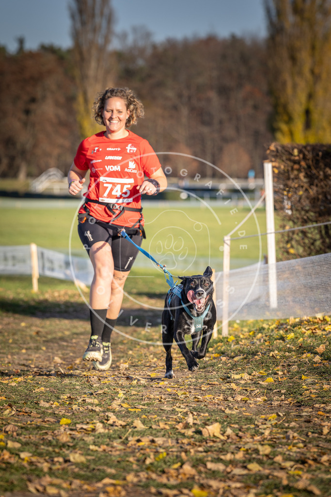 CaniXpix_DV3A2336 | Hundefotografie, Tierfotograf, Pfotenfotografie, Fotoshooting Hund, Hunde Portrait, Hundesport, Hundeportraits, Heideshooting, Hunde, Sportfotograf, Hundefotograf, Turnierhundsport, THS,  - Realisiert mit Pictrs.com