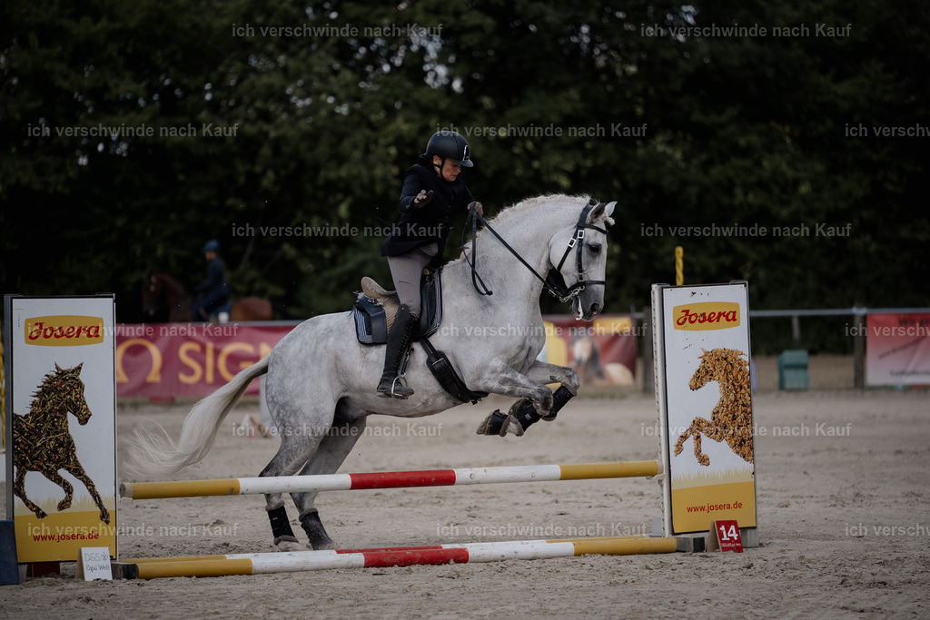 WS_SP_43_Stoibphotography_SO10687 | working equitationturnier fotograf videograf stoibphotography marixx film working equitation deutschland reitsport turnierfotografie eventfotografie equestrian events