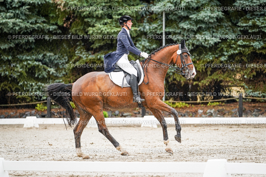 DSC08667 | Pferdegrafie