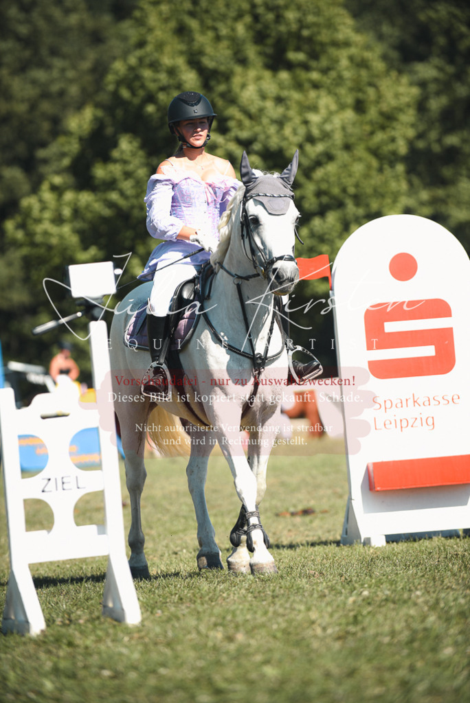 DSC_7542 | Pferde- und Turnierfotografie in Westsachsen. Pferdeportraits, Auftragszeichnungen und intuitive Kunst.