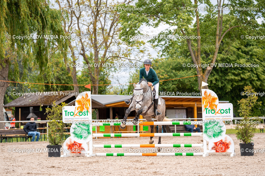 Eppelheim Tag 1-33 | dv-media-shop - Realisiert mit Pictrs.com