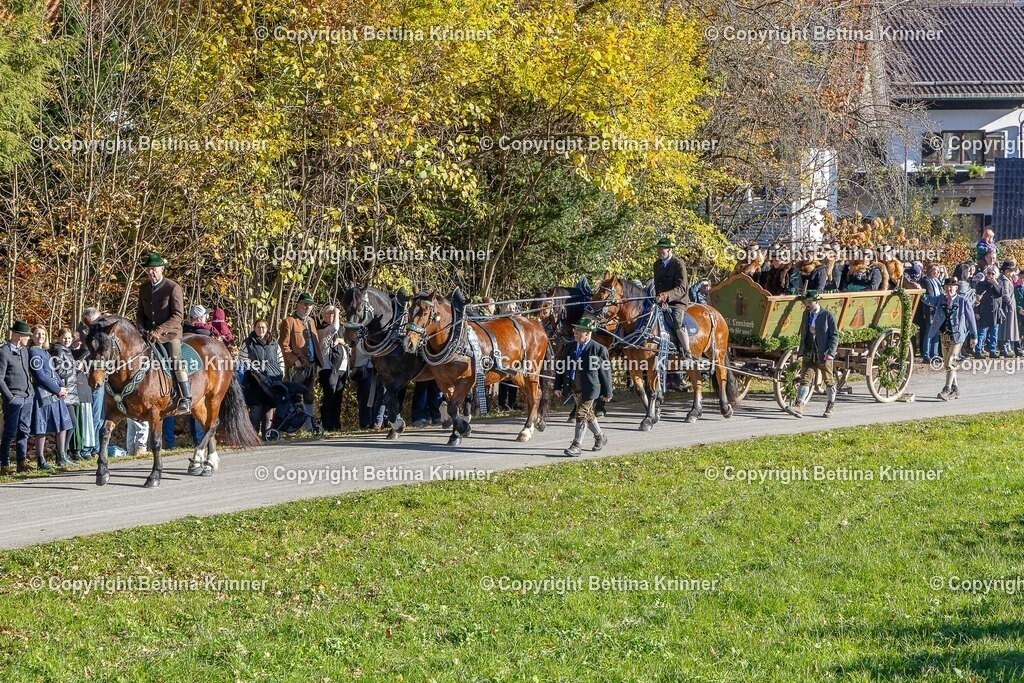 LBT25-160 | foto-bettina-krinner - Realisiert mit Pictrs.com