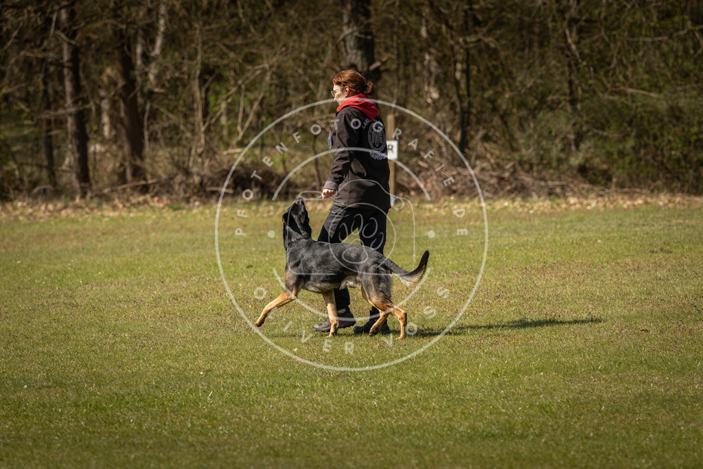 Pfotenfotografie_DV3A0914 | Hundefotografie, Tierfotograf, Pfotenfotografie, Fotoshooting Hund, Hunde Portrait, Hundesport, Hundeportraits, Heideshooting, Hunde, Sportfotograf, Hundefotograf, Turnierhundsport, THS,  - Realisiert mit Pictrs.com