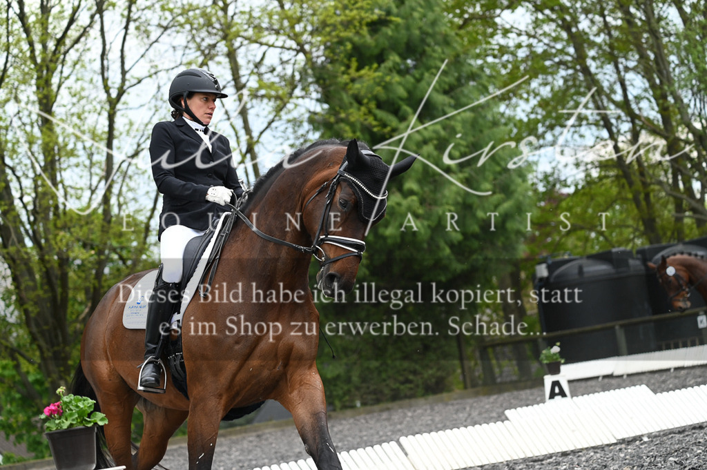 20230512_JK-Röhrsdorf-08-025 | Pferde- und Turnierfotografie in Westsachsen. Pferdeportraits, Auftragszeichnungen und intuitive Kunst.