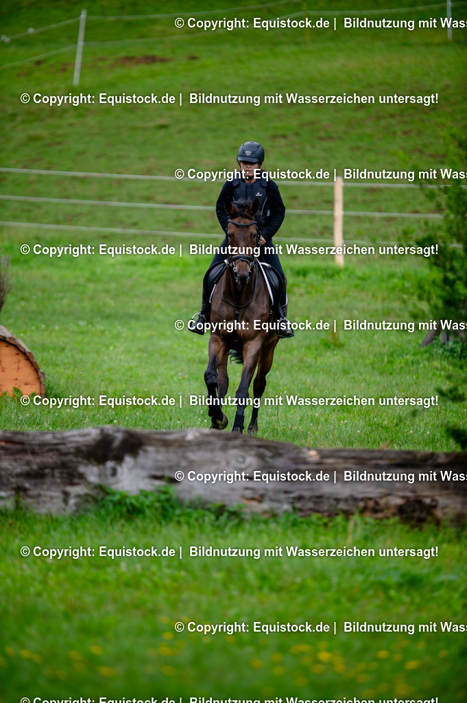 20250725_Vielseitigkeitslehrgang-Marbach_0130 | Foto: Thomas Hartig