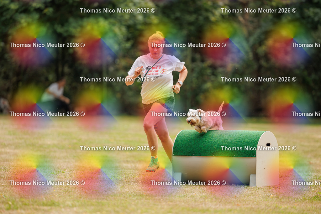 Thomas_Nico_Meuter(C)_22. August 2026_223A4710 | Bild von Thomas Nico Meuter - Realisiert mit Pictrs.com