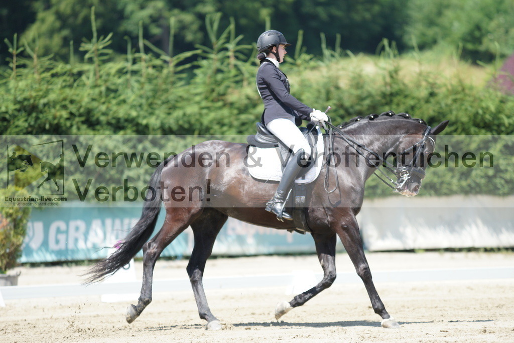 DSC03592 | equestrian-live-com