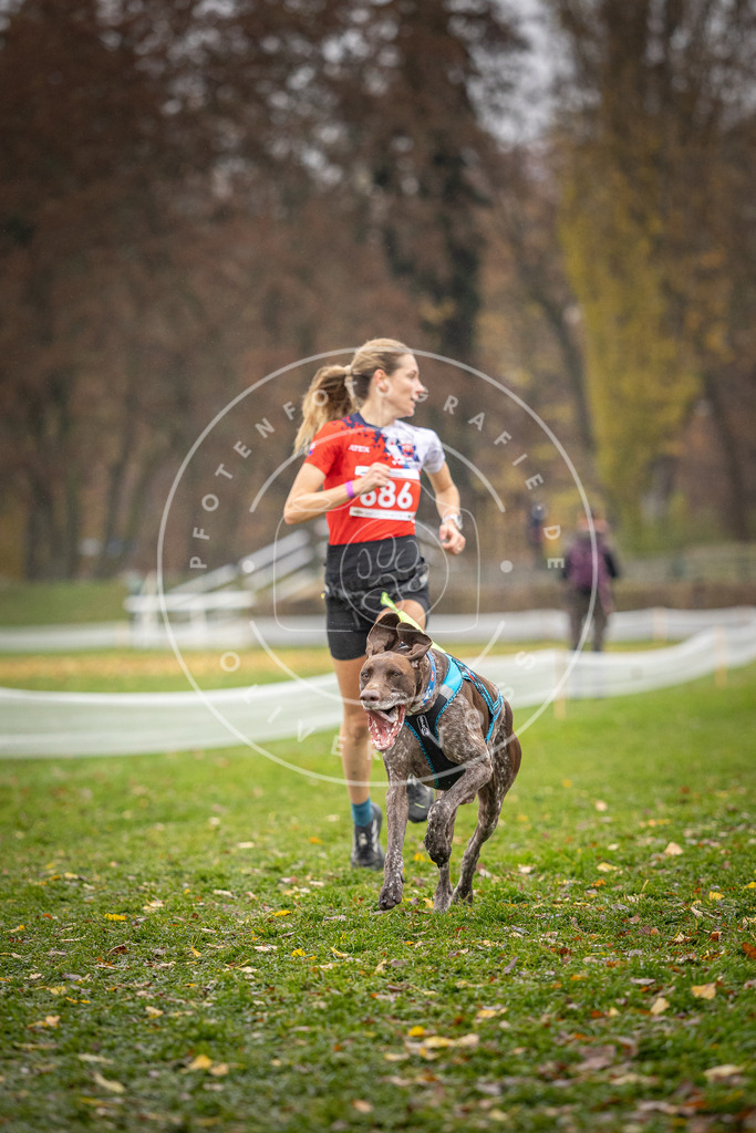 CaniXpix_DV3A8915 | Hundefotografie, Tierfotograf, Pfotenfotografie, Fotoshooting Hund, Hunde Portrait, Hundesport, Hundeportraits, Heideshooting, Hunde, Sportfotograf, Hundefotograf, Turnierhundsport, THS,  - Realisiert mit Pictrs.com