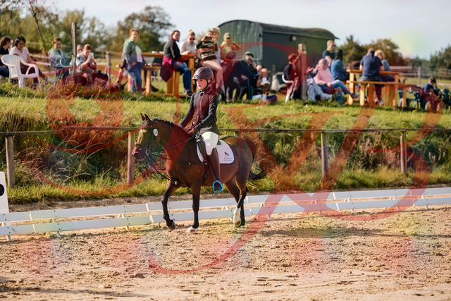 2026_10_03_Siefer-Hof_120827_Z63_38006056 | Professionelle Reitsport-, Turnier- und Eventfotografie von Robert Broda. Galerien mit ausgewählten und bearbeiteten Bildern direkt online ansehen und bestellen.