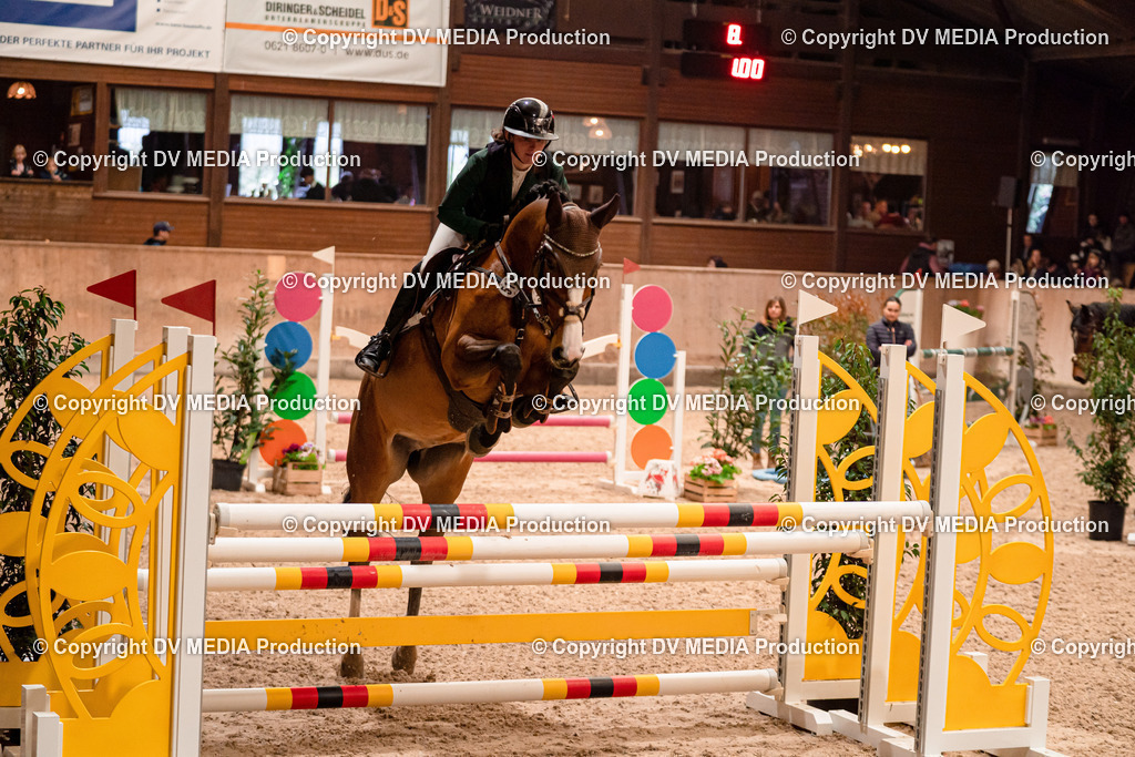 Springen Tag 2-695 | dv-media-shop - Realisiert mit Pictrs.com