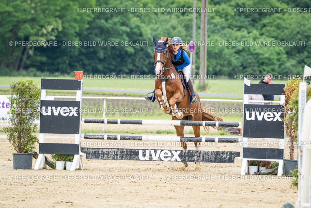 DSC03684 | Pferdegrafie