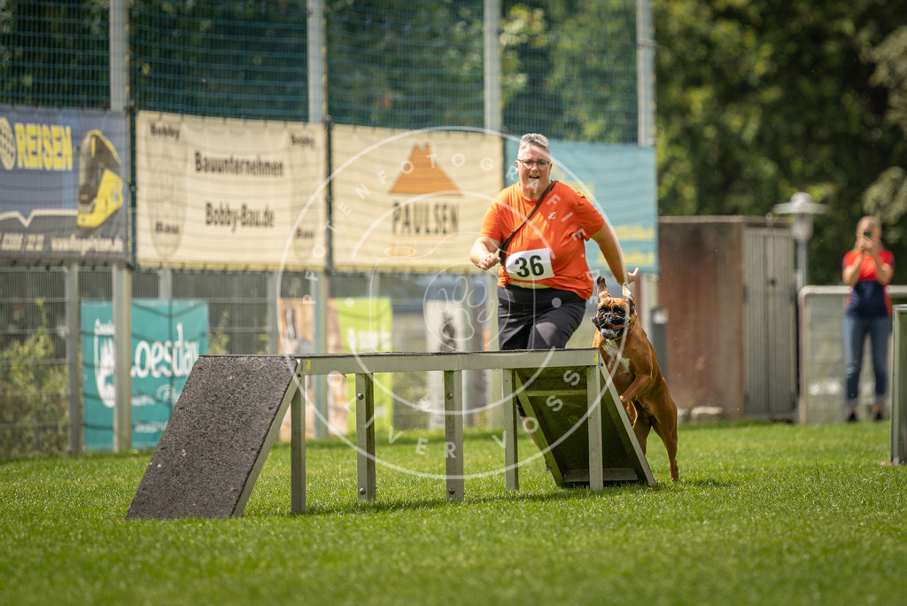Pfotenfotografie_DV3A3531 | Hundefotografie, Tierfotograf, Pfotenfotografie, Fotoshooting Hund, Hunde Portrait, Hundesport, Hundeportraits, Heideshooting, Hunde, Sportfotograf, Hundefotograf, Turnierhundsport, THS,  - Realisiert mit Pictrs.com