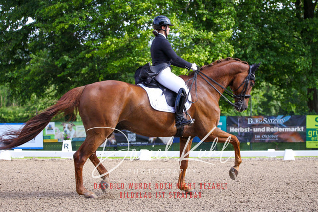 DKP41598 | Turnierfotos kaufen im Webshop von Daniel Kuhl Photography – entdecke professionelle Reitsportfotos aus Turnieren & Events. Hochwertige Turnierbilder online bestellen & sichern. Jetzt Fotos von Reitsportturnieren kaufen!