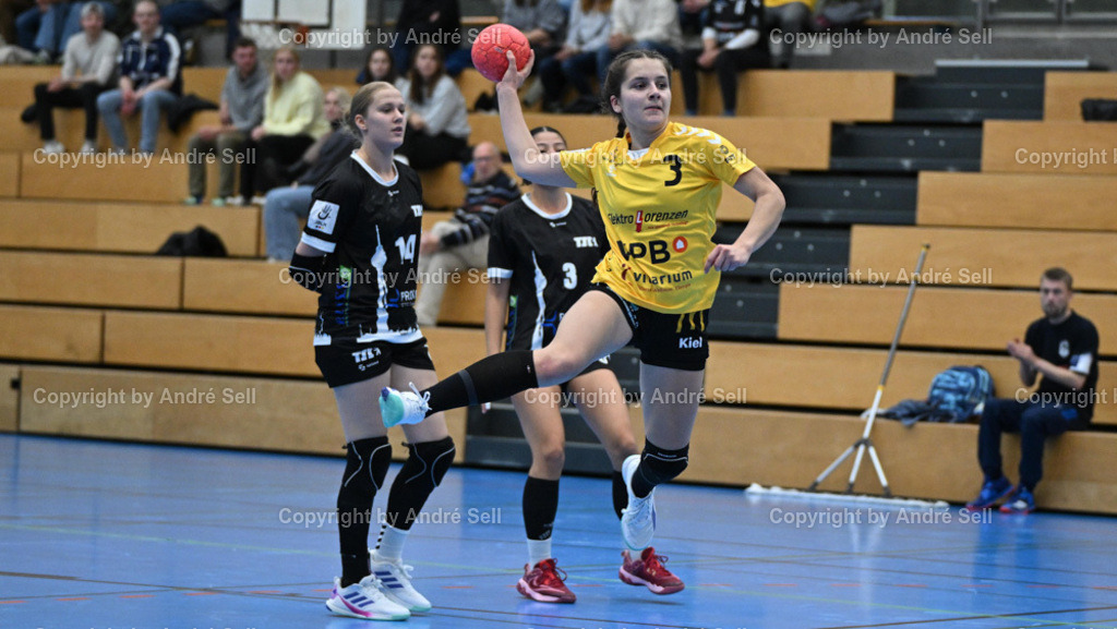 TSV Altenholz vs Berliner TSC | Anastasia von Neindorff (TSVA #3 scheitert an der Torfrau) / Katharina Bär (BTSC #14) &amp; Ryleene Teodoro (BTSC #3) - Handball 3. Liga Nord Frauen 2024/2025 / TSV Altenholz vs Berliner TSC / Edgar-Meschkat-Halle / Altenholz / 02.11.24 - Realisiert mit Pictrs.com