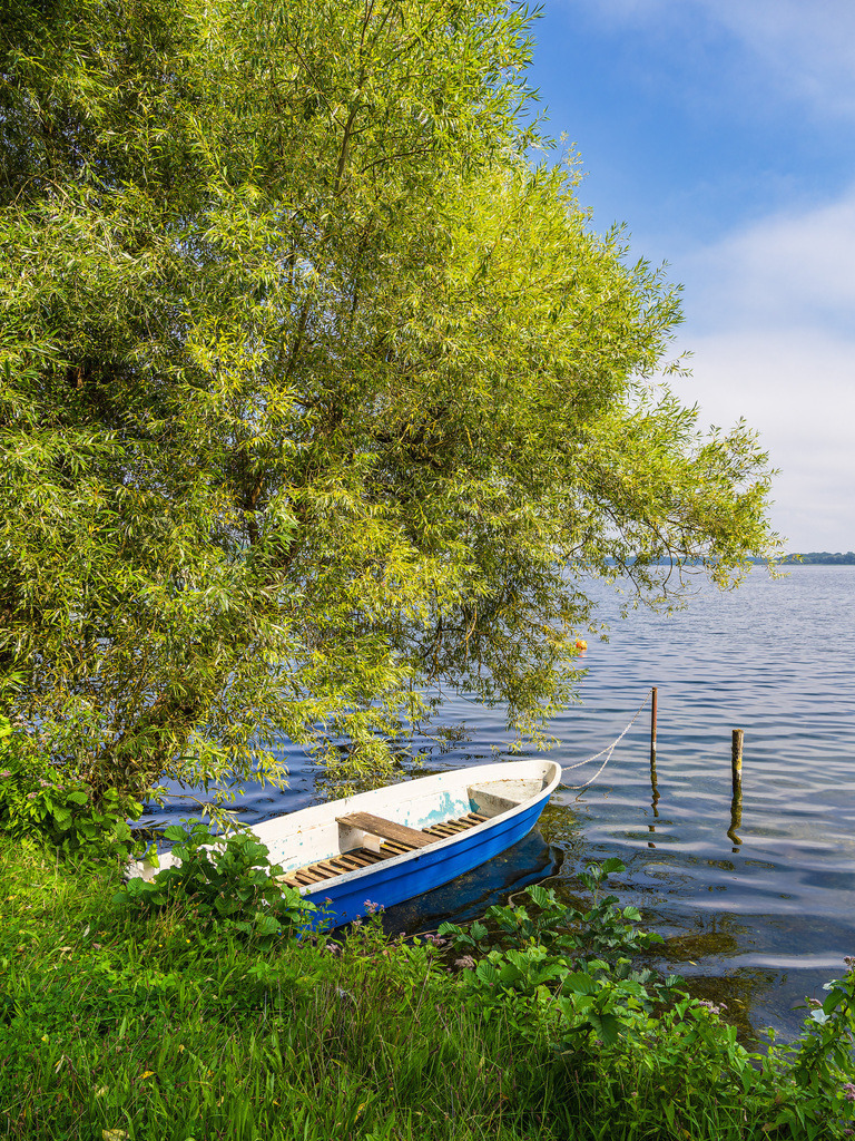 Blick auf ein Boot und Baum in der Stadt Zarrentin am Schaalsee | Blick auf ein Boot und Baum in der Stadt Zarrentin am Schaalsee.