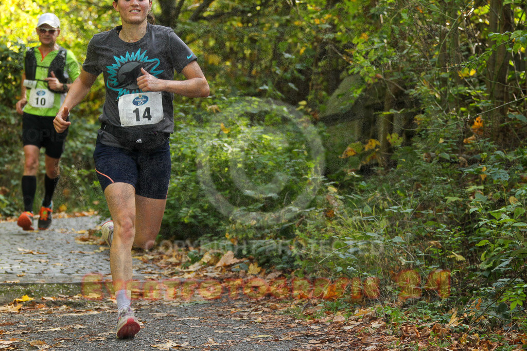 221030_1239_EV4_1340 | Sportfotografie im Rhein-Sieg Kreis, Köln, Bonn, NRW, Rheinland Pfalz, Hessen, etc. Unser Tätigkeitsfeld umfasst den Laufsport vom Volkslauf über den Marathon, Duathlon, Triathon bis zum Ultralauf wie Kölnpfad Ultra oder Schindertrail.