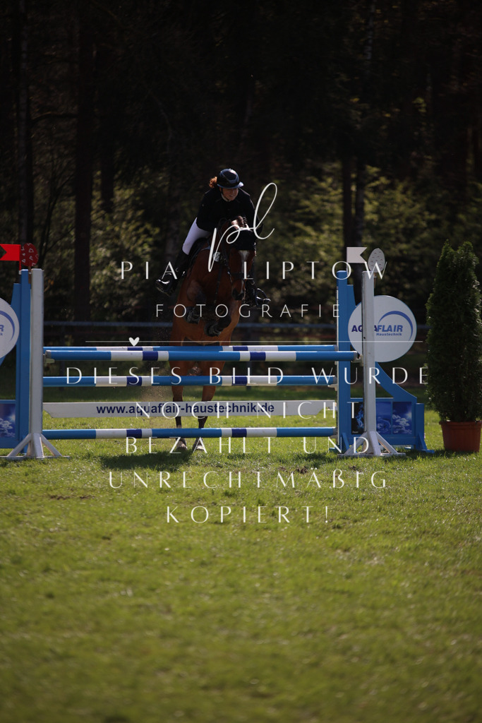 IMGT6017 | pl-fotografie