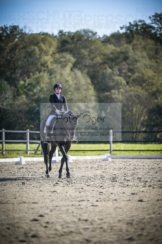 DOS_2169 | Entdecke hochwertige Reitturnierfotos von Foto Oger. Professionell, emotional und authentisch – jetzt Lieblingsmomente im Shop bestellen.Deutschlandweite Turnierfotografie. - Realisiert mit Pictrs.com