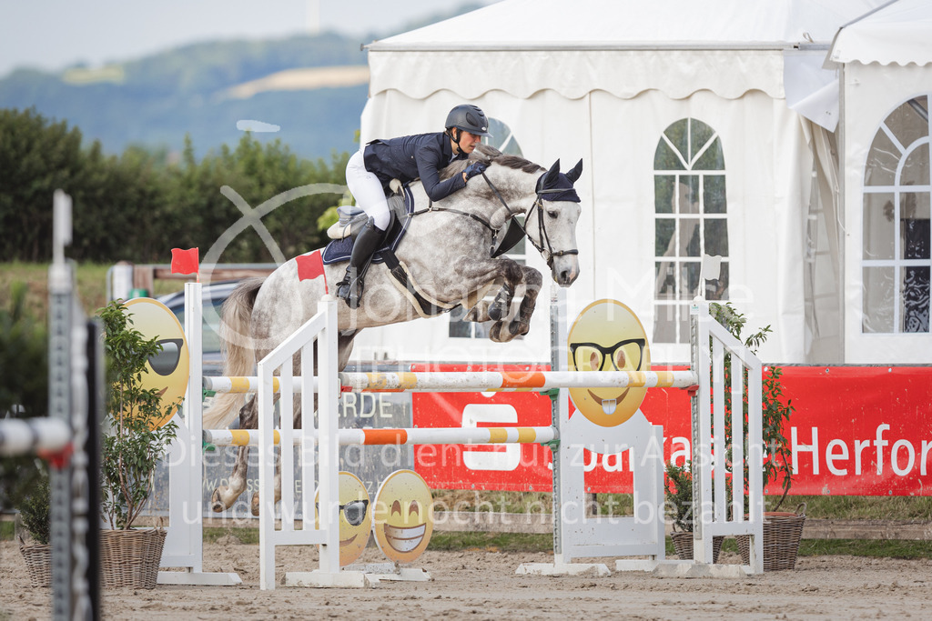 220610_PfSpTa_M1-Spr-331 | Lützower Pferdesporttage 
Springprüfung Kl. M*
10.06.2022