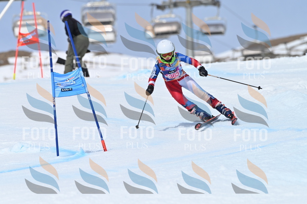 BGV_3894 | holidayphoto