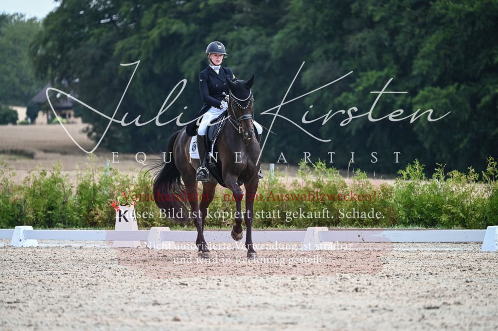 DSC_2313 | Pferde- und Turnierfotografie in Westsachsen. Pferdeportraits, Auftragszeichnungen und intuitive Kunst.