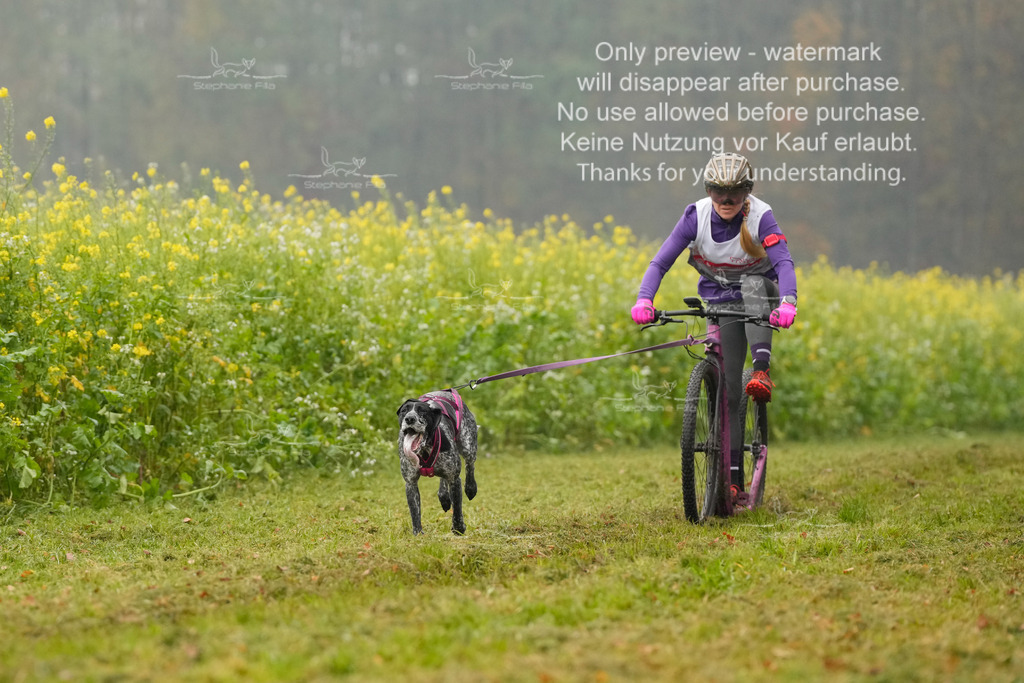 Visbeck_Sa_Scooter_Hc-33 | stephaniefillaphotographie - Realisiert mit Pictrs.com