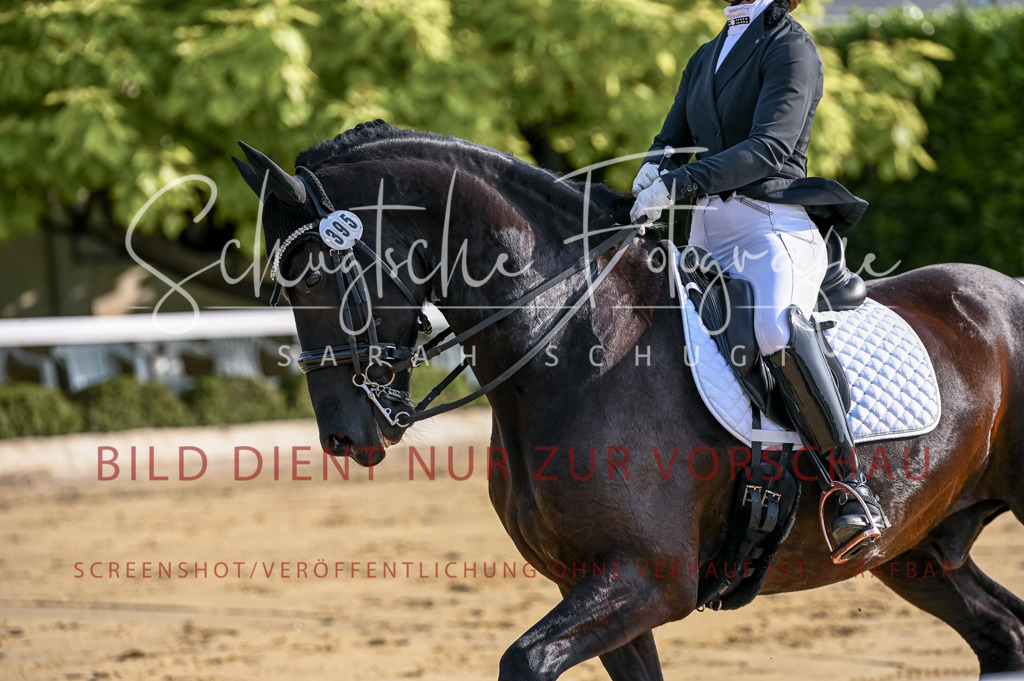 Schugtsche-Aluta25-52.Dressurprf.M2Kand-54 | Schugtsche Fotografie - Realisiert mit Pictrs.com