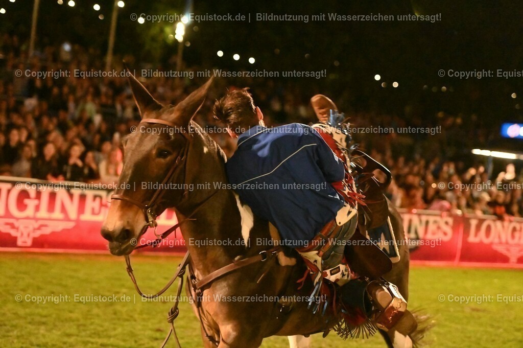 20230526_Pferdenacht_1221 | equistock