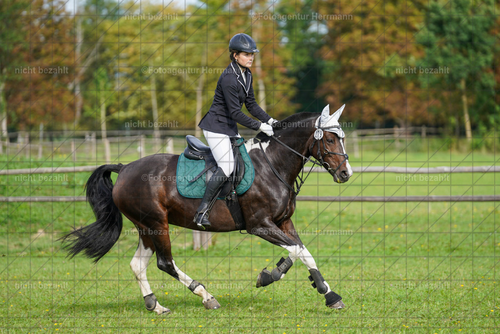 20230917-FAH09121 | Landsberg am Lech, 2023, Kaufbeuren, Kempten, Allgäu, Turnierfotografen Bayern, Fotoagentur Herrmann, Turnierbilder, Reitsport Fotos, Pferdefotograf, Augsburg, Bad Tölz, Dachau, Karlsfeld, Memmingen, Buchloe, Schwabmünchen