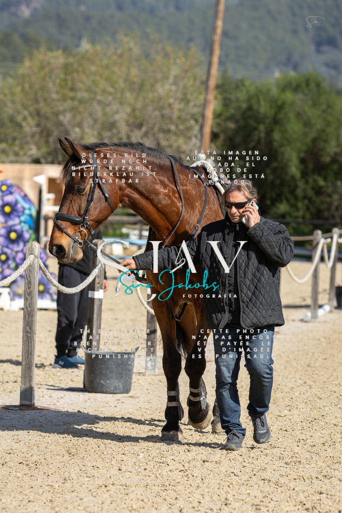 IMG_6136 | s-jay-photography - Realisiert mit Pictrs.com