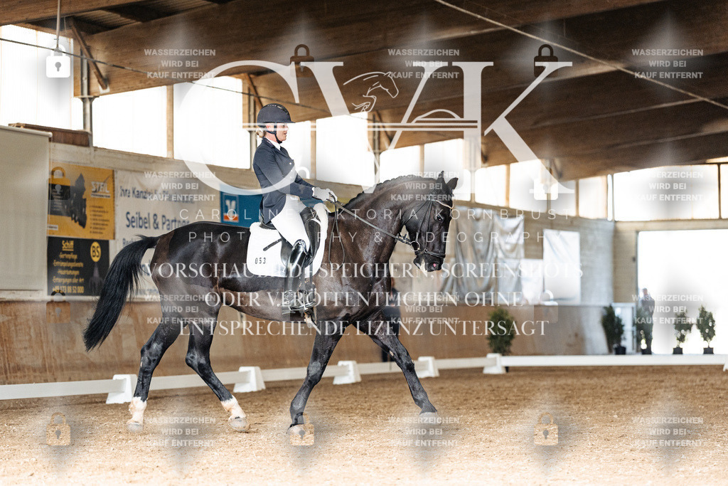 CK902182 | Turnierfotografie Pferdefotografie Trier Rheinland-Pfalz Pferdesport Reitsport Tierfotografie Sportfotografie Pferdevideo Pferdevideografie Equestrianvideography equestrianphotography  - Realisiert mit Pictrs.com