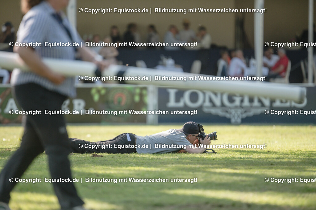 DSC_1263 | equistock