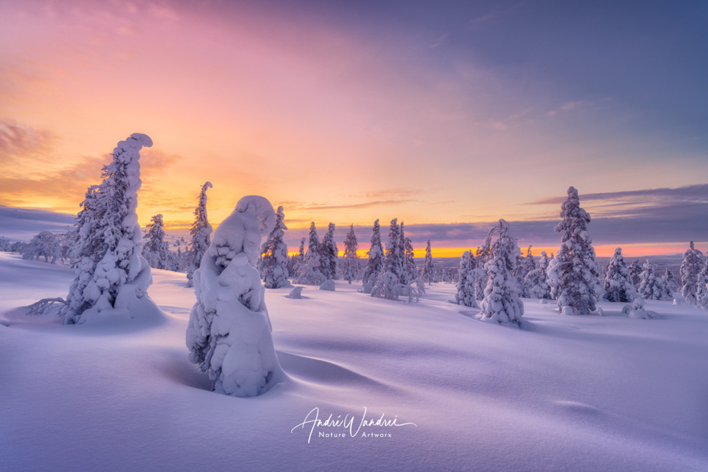 Schneetrolle in den eisigen Weiten | Andre Wandrei - Nature Artworx - Realisiert mit Pictrs.com